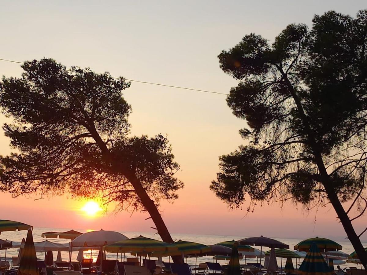 Hotel Comfort Shëngjin Dış mekan fotoğraf